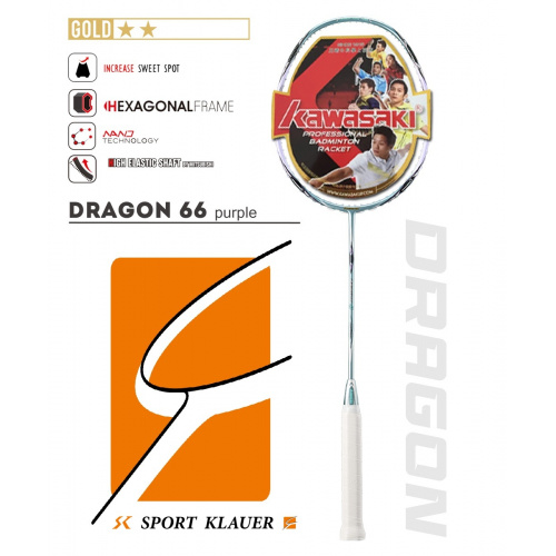 Dragon66.1 Kawasaki Dragon 66
