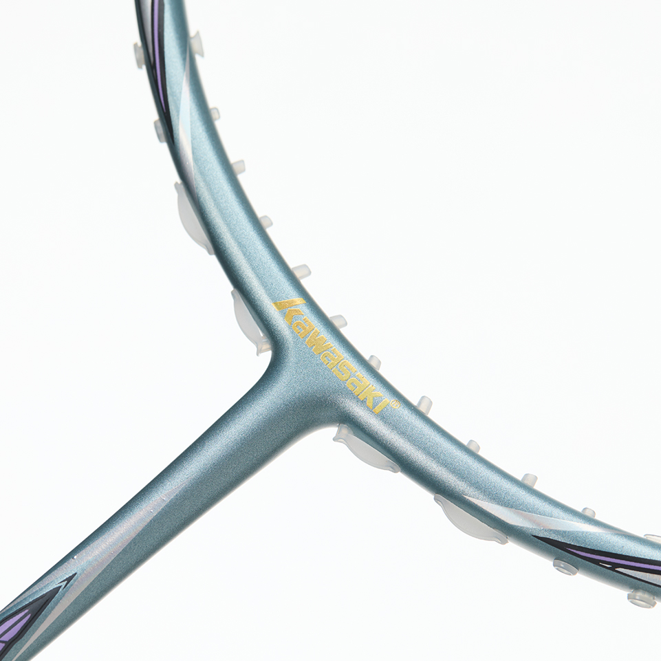 Kawasaki Dragon 66 – Bild 2