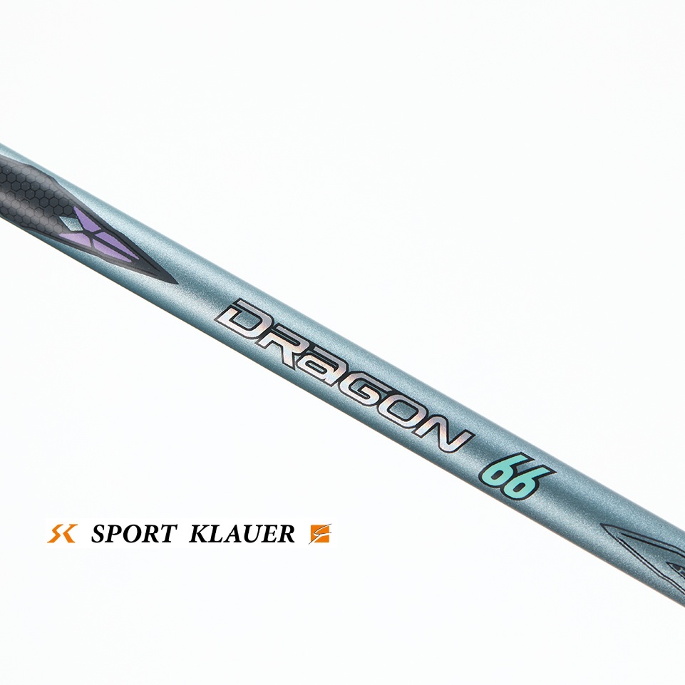 Kawasaki Dragon 66 – Bild 6