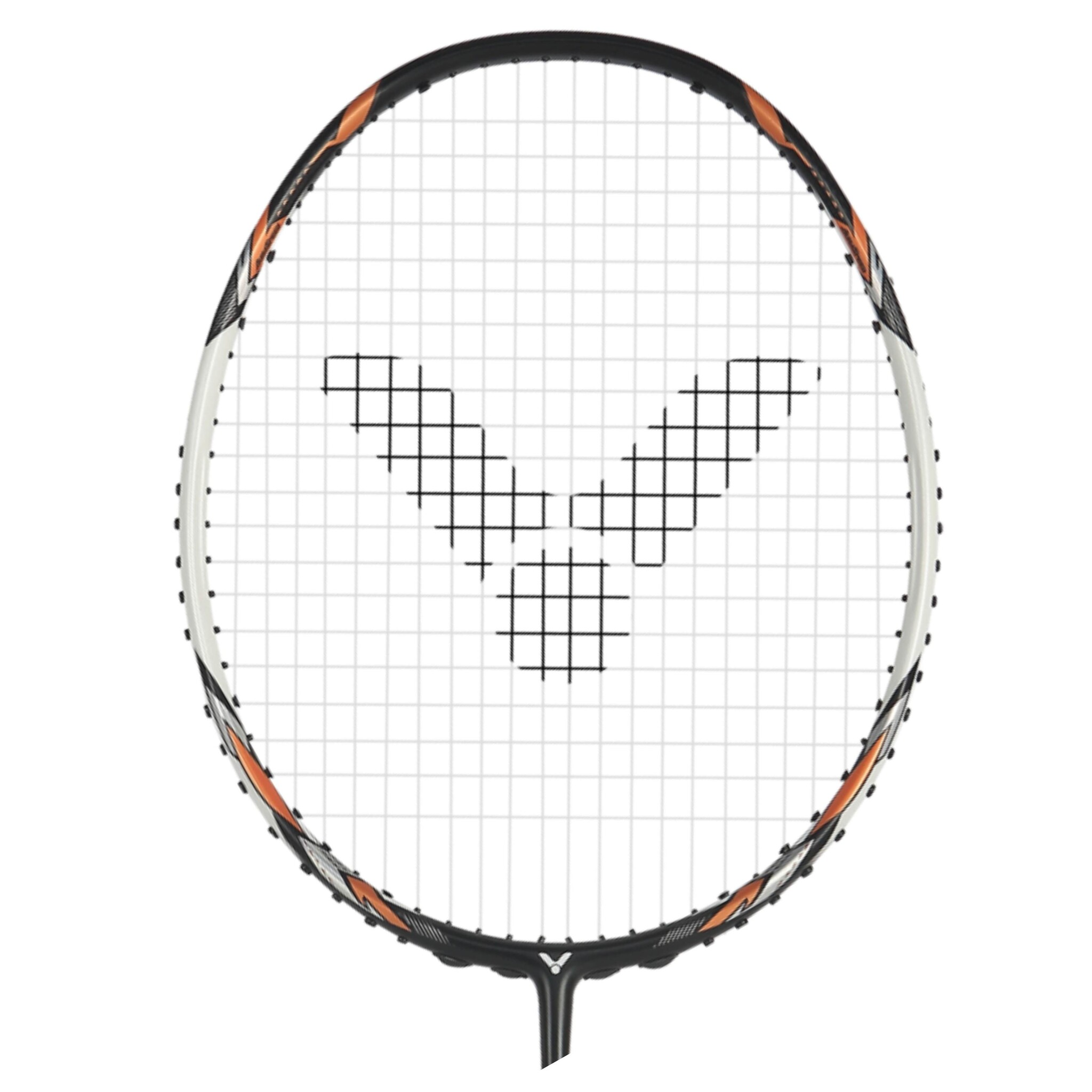 Victor Auraspeed 100X TD CO – Bild 2